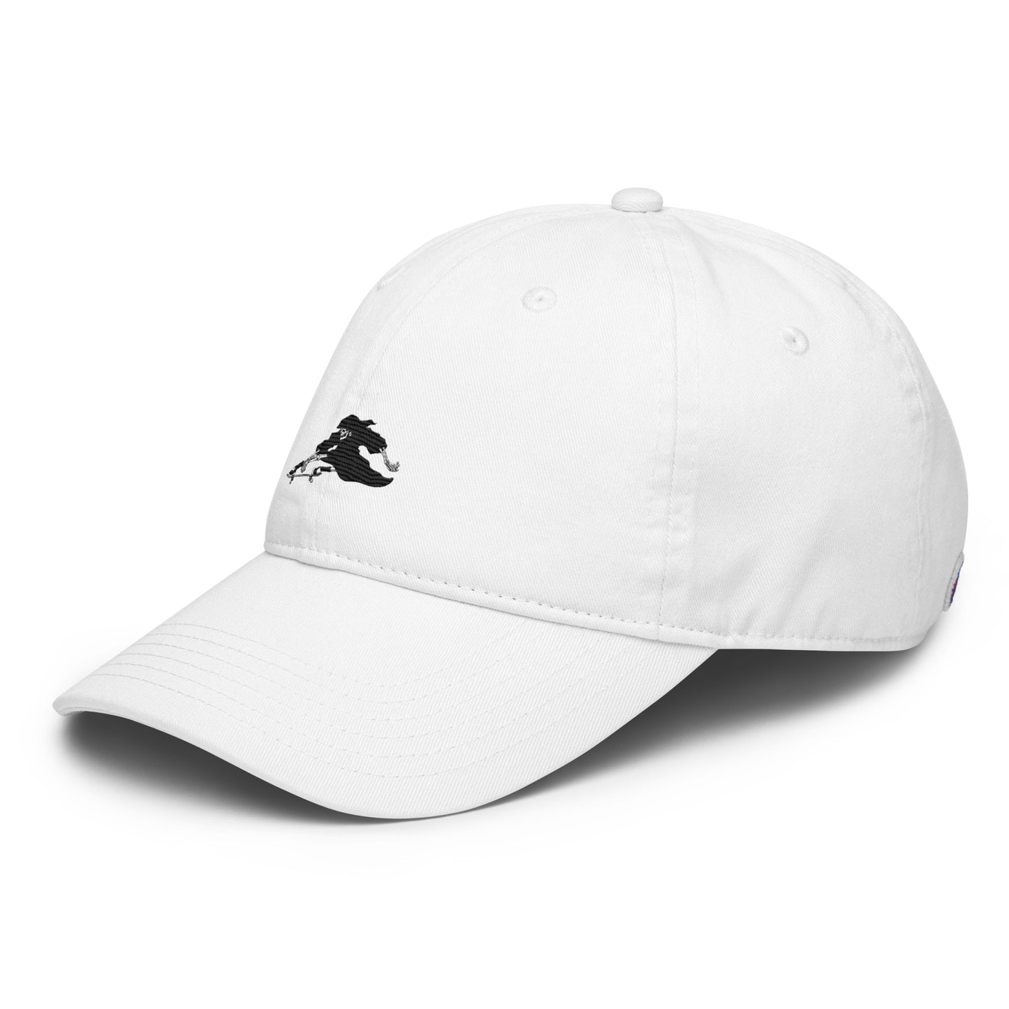 CCSW Dad hat