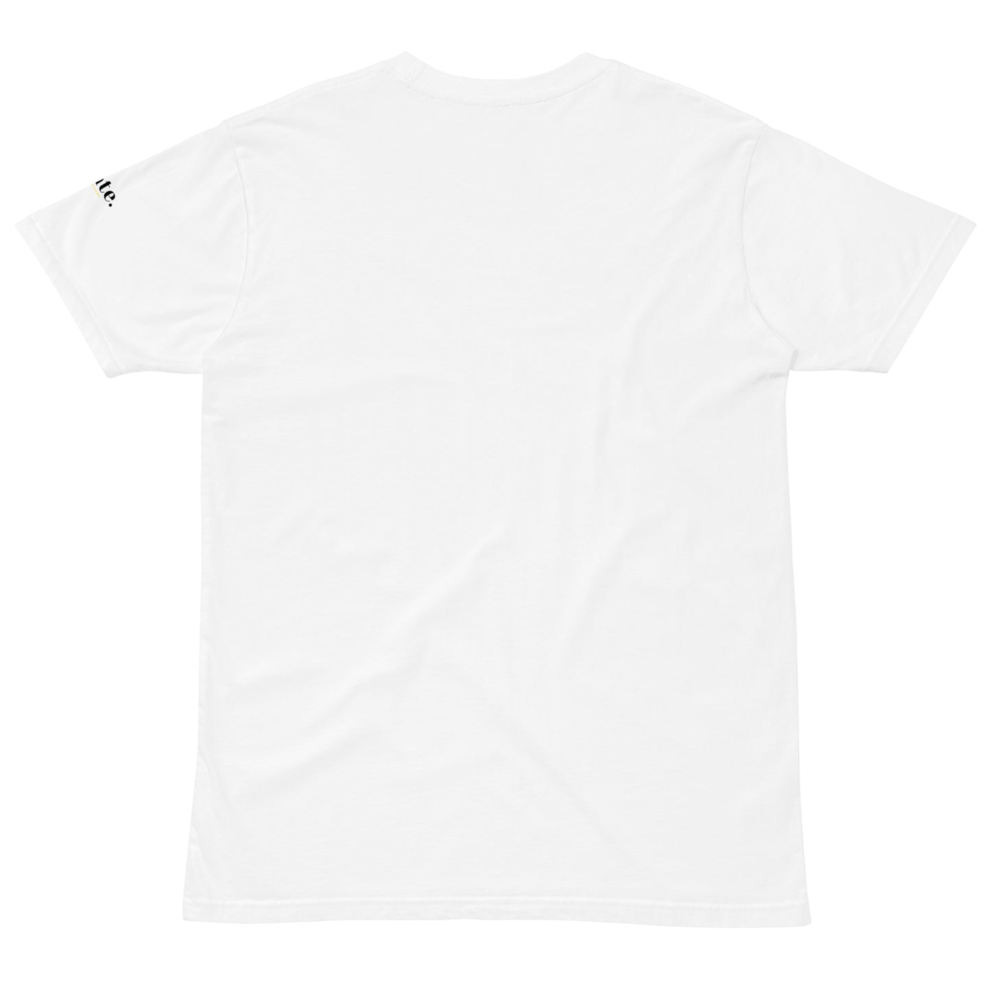 Nostalgic premium t-shirt